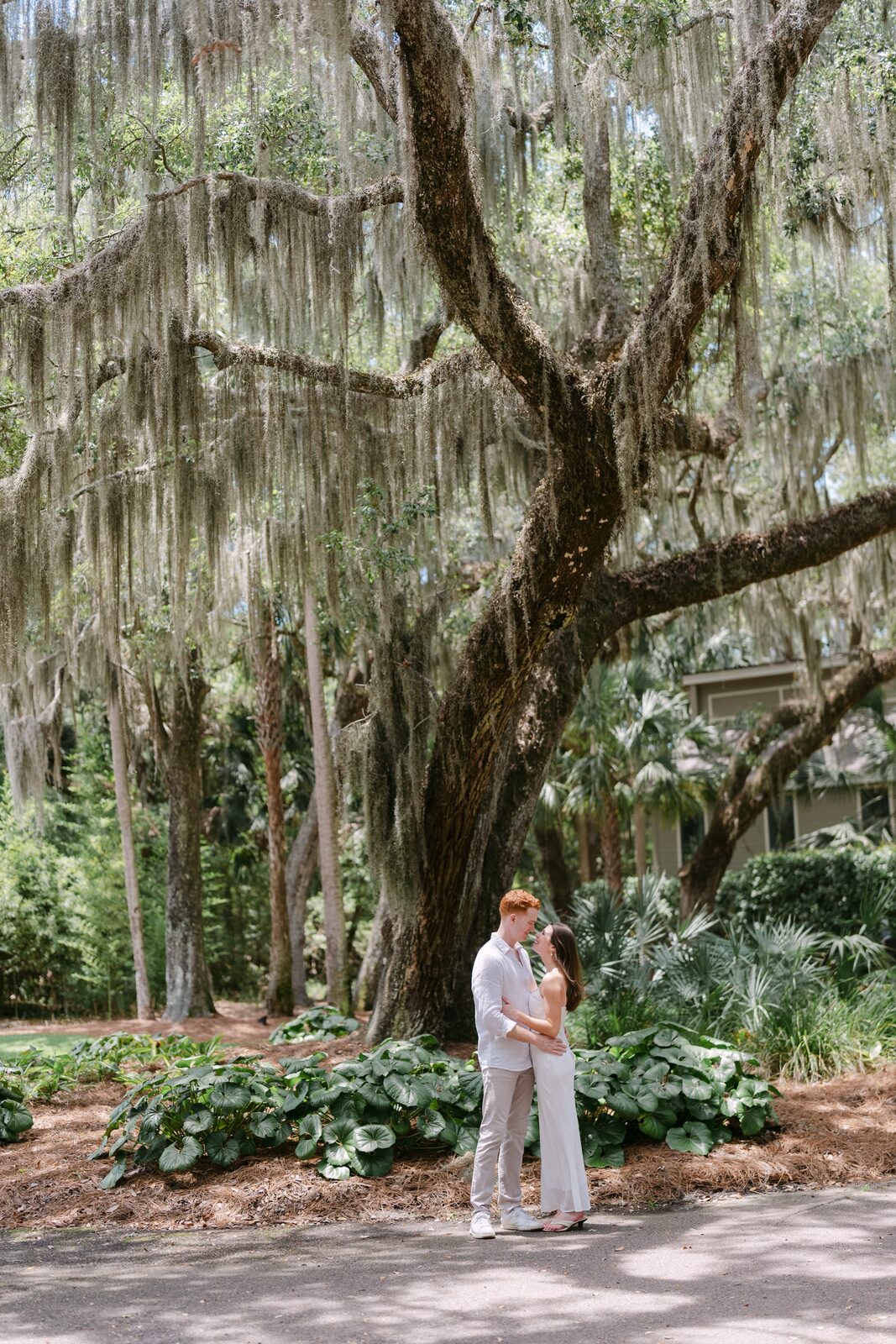 Couple embracing beneath a live oak draped in Spanish moss