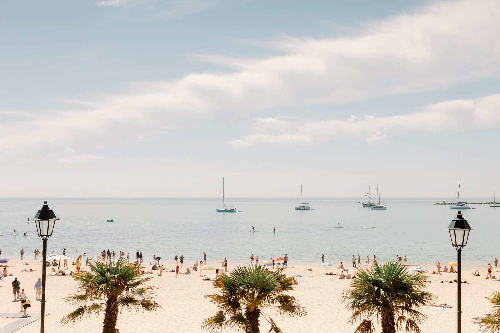 View of the beach with palm trees and sailboats
